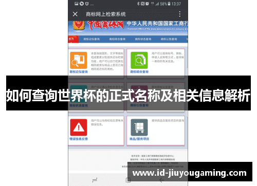 如何查询世界杯的正式名称及相关信息解析