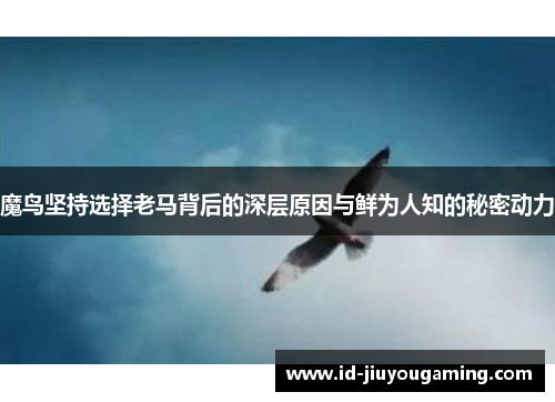 魔鸟坚持选择老马背后的深层原因与鲜为人知的秘密动力