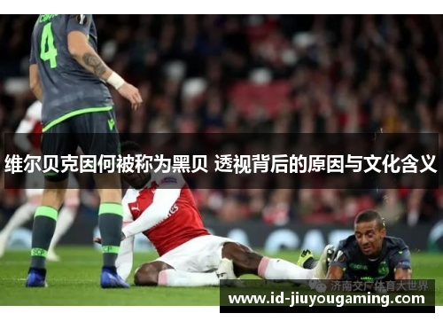 维尔贝克因何被称为黑贝 透视背后的原因与文化含义 维尔贝克因何被称为黑贝 透视背后的原因与文化含义