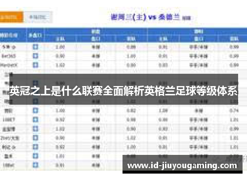 英冠之上是什么联赛全面解析英格兰足球等级体系 英冠之上是什么联赛全面解析英格兰足球等级体系